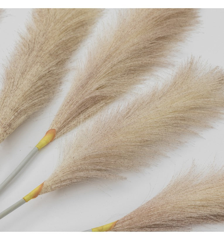 Goma Soft Feather Stem Blush