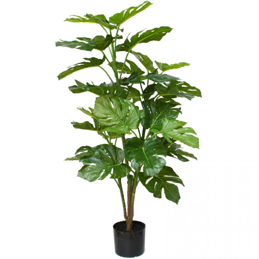 Split Leaf Philo Plant 127 cm