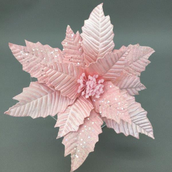 Pink Poinsettia