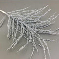 Silver Spray