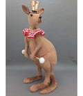 Party Kangaroo