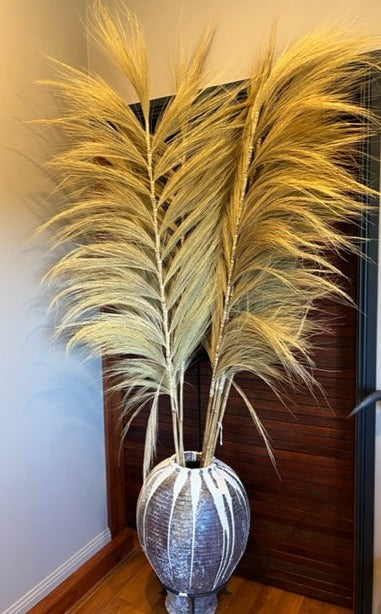 Rayung Decor