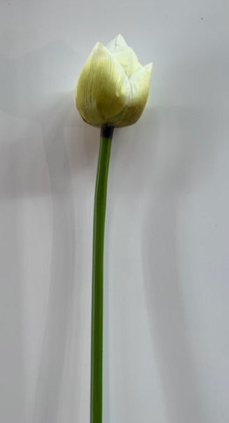 Lotus Flower (White)
