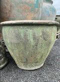 Ancient Green Tree Planter Small