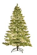 6Foot Green Oxford w/LED lights