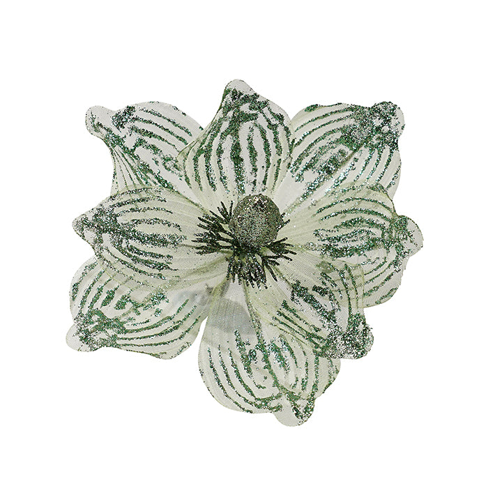 Sheer Mint Magnolia Clip on
