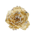 Peony Champagne