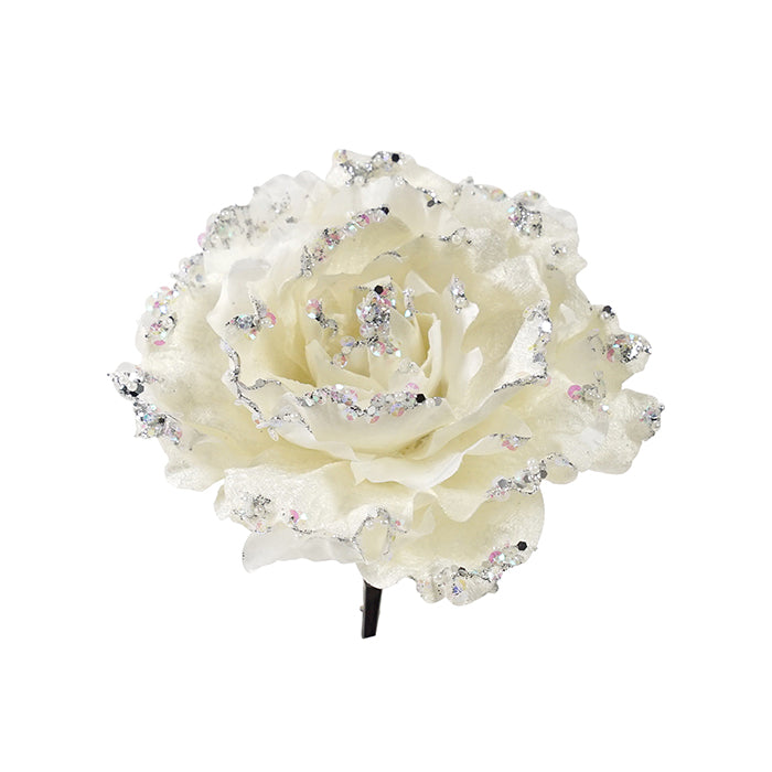 Peony White