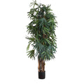 Raphis Palm Thin Leaf 2m