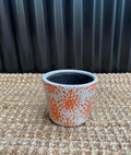 Orange  Burst Med Pot